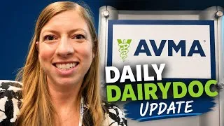 Thumbnail: Daily DairyDoc Update 9: Speaking at AVMA