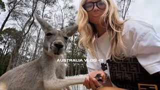 Thumbnail: snippets from australia!! ft vibes