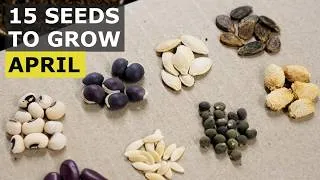 Thumbnail: 15 SEEDS You MUST Grow in APRIL