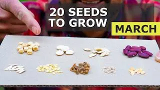 Thumbnail: You MUST Grow These 20 Seeds in March