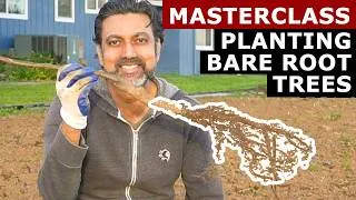 Thumbnail: Complete Guide to Plant Bare Root Trees