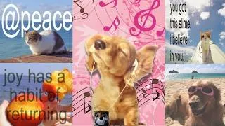 Thumbnail: Upbeat hopecore bangers playlist (Crash out repellant) ⋆˙⟡