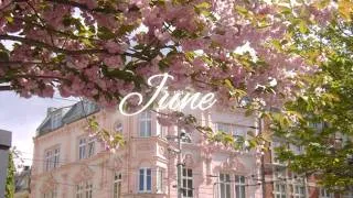 Thumbnail: June is bringing good fortune, miracles and luck all around .☘︎ ݁˖♡⊹ ࣪ ˖