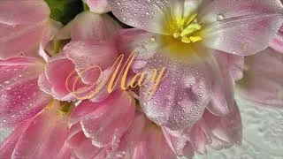 Thumbnail: May is bringing you good luck & miracles ₊˚⊹ ᰔ