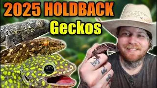 Thumbnail: You Won't Believe These Geckos! 