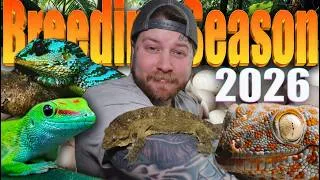 Thumbnail: This Gecko Season Is Going To Take Us To The NEXT Level!