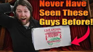 Thumbnail: Unboxing The Rarest Lizards In My ENTIRE Collection!!!