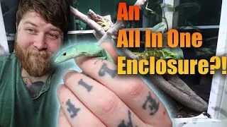 Thumbnail: Is This The Future Of Reptile Enclosures?