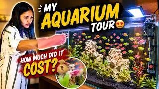 Thumbnail: My Aquarium Tour 😍🐠 | ಎಷ್ಟು Cost ಆಯ್ತು? 😱 | Fish, Setup & Maintenance | Kannada Vlog | Daksha Gowda