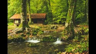 Thumbnail: 432 Hz - Best Classical Music - Erik Satie - Gymnopédie No. 1 (60 minutes)
