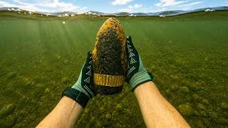 Thumbnail: Found 2 Bombs Underwater in the River Scuba Diving 