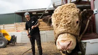 Thumbnail: My First Time Power Washing a Bull?