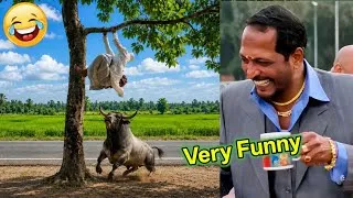 Thumbnail: Very Very Funny Video 2026 🤣 Try Not To Laugh Challenge 🤣 Top 100 Funniest Videos 