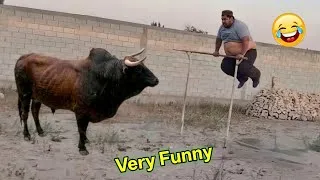 Thumbnail: Top Funniest Videos And Pranks Of The Week 🤣// Try Not To Laugh Extremely Impossible ep 8