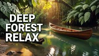 Thumbnail: Relaxing Nature Sounds  Grand Piano Music  Forest Birdsong for Study, Focus & Stress Relief