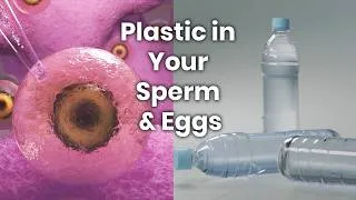 Thumbnail: Scientists Just Found Plastic in Your Sperm & Eggs – What This Means for Your Fertility
