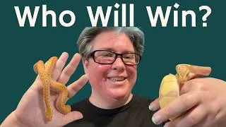 Thumbnail: Ball Python Vs African House Snake - Which is Better?