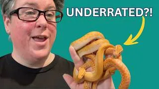Thumbnail: The Snake Nobody Talks About - But Should! African House Snake