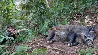 Thumbnail: Stalk wild boars, track their signs, set traps, and craft a wooden water trough, survival alone