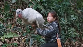 Thumbnail: Detect turkey tracks, quickly build an encircling trap, survival alone