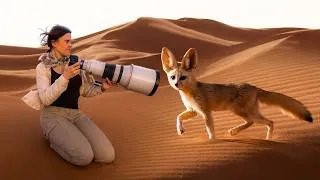 Thumbnail: Photographing the Sahara Wasn’t What I Expected.