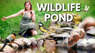 Thumbnail: I Built a Wildlife Pond! I was AMAZED at How Much Animals Visited!