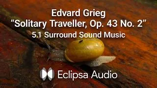 Thumbnail: Eclipsa Audio / Edvard Grieg “Solitary Traveller, Op. 43 No. 2”