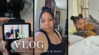 Thumbnail: Chile, I'm Tired! Barkley's First Grooming Appt, Dying Hair & Cooking Dinner