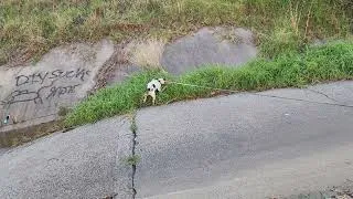 Thumbnail: Link loves the water but always slips in it. 