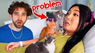 Thumbnail: My Best Friend's SNORING PROBLEM Got Worse...(Cat Emergency)