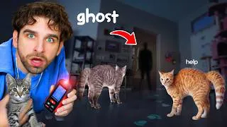 Thumbnail: My Kittens FOUND a GHOST In My House... (Haunted)