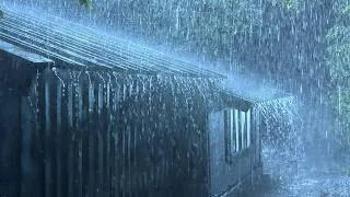 Thumbnail: Sleep Recovery with Forceful Rain & Murmuring Thunder on a Metal Roof in Distant Forest at Night