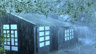 Thumbnail: Restore Deep Sleep in Ancient Tin Roof with Steady Rain & Growling Thunder in Misty Forest at Night