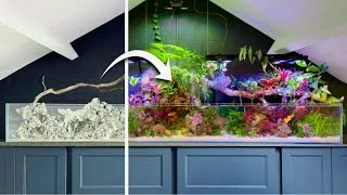 Thumbnail: 600 Days Inside My Saltwater Paludarium (Compilation)