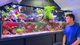Thumbnail: Saltwater Paludarium Maintenance Isn’t What You Think