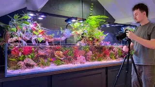 Thumbnail: What Happened to My Saltwater Aquarium? (Big Changes Coming)