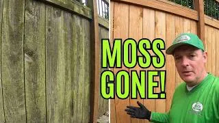Thumbnail: Old Fence Magically Brought Back, #satisfyingclean, #fencecleaning, #asmr,