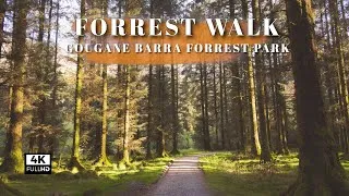 Thumbnail: 4K Forrest Walk in Ireland | Relaxing Instrumentals | Photography POV