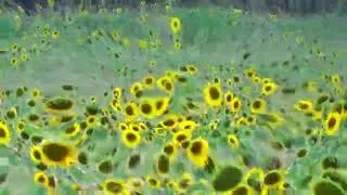 Thumbnail: Nana Mouskouri, Sonnenkind, La fille du soleil, seven times until Hormuz history