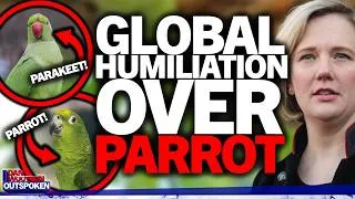 Thumbnail: "Global humiliation" Bird brain Labour MP Stella Creasy goes viral over parrot/parakeet video shame