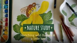 Thumbnail: Nature Study | Sketching Wild Flowers & a Little Bee 🐝🌼