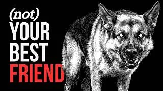 Thumbnail: Why You Should Be Terrified of German Shepherds