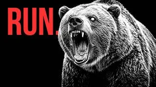 Thumbnail: Why Grizzly Bears Are The Most Terrifying Apex Predator