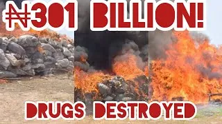 Thumbnail: ₦301 BILLION OF DRvGS DESTROYED IN LAGOS — WHERE WERE THEY GOING?