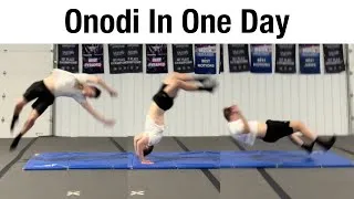 Thumbnail: Teaching Myself How to Onodi