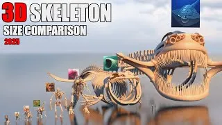 Thumbnail: The Ultimate 3D Size Comparison of Animal, Dinosaur, Sea Monster Skeletons: Bloop vs El Gran Maja