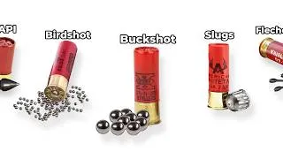 Thumbnail: Every Type Of Shotgun Shell Explained