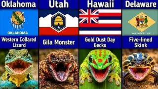 Thumbnail: 🦎 The Most Famous Lizard in Every U.S. State… But 4 States Have NONE! 🇺🇸