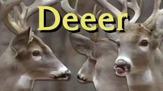 Thumbnail: {YTP} ~ Deeer