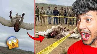 Thumbnail: REAL Mythical Creature Caught on Camera! (Unbelievable Footage)